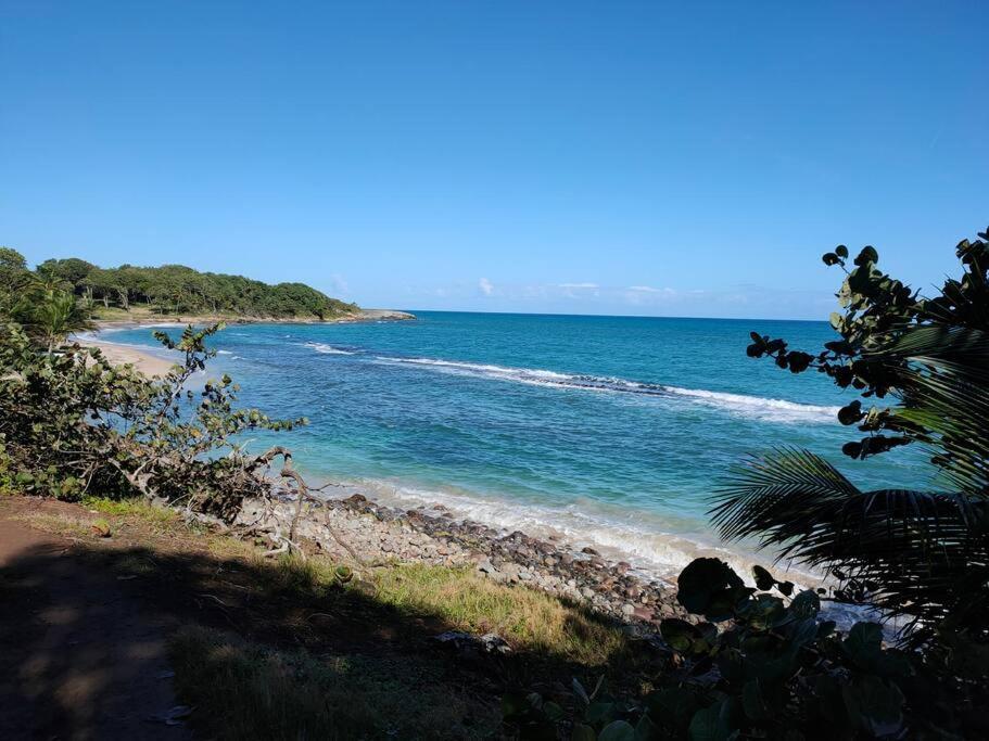 Haut De Villa Avec Vue Sur La Mer Sainte-Rose Exterior foto